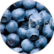 fruits-blueberry