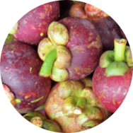 fruits-mangosteen